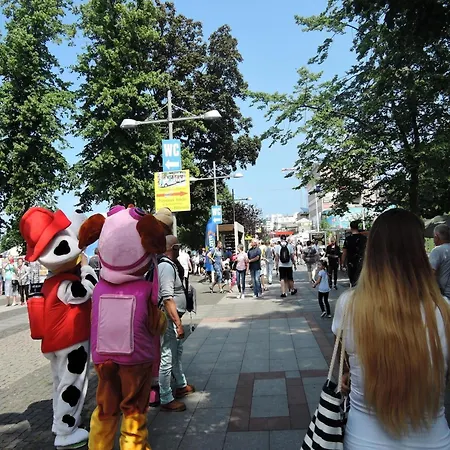 Ferienhaus Homes With Swimming Pool, *