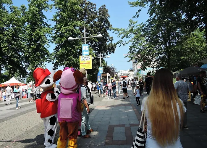 別荘 Homes With Swimming Pool, *