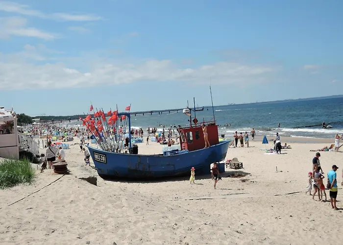 別荘 Homes With Swimming Pool, ミエンジズドロイェ